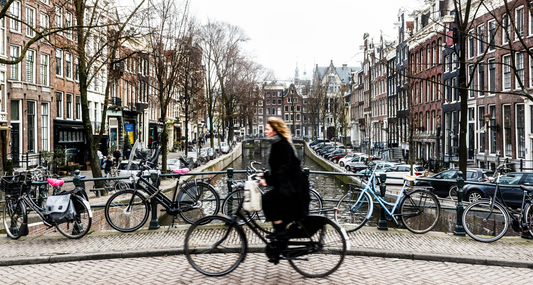 The United States vs. The Netherlands: Key Differences and Surprising Similarities