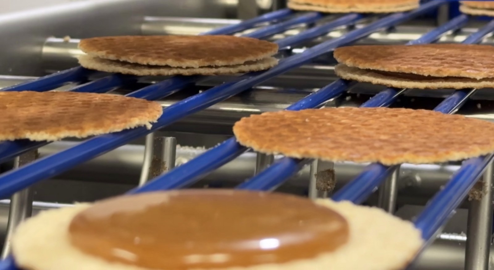 Stroopwafels on the 3Bros bakery production line with caramel stroop being applied